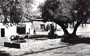 Maillot - Abreuvoir